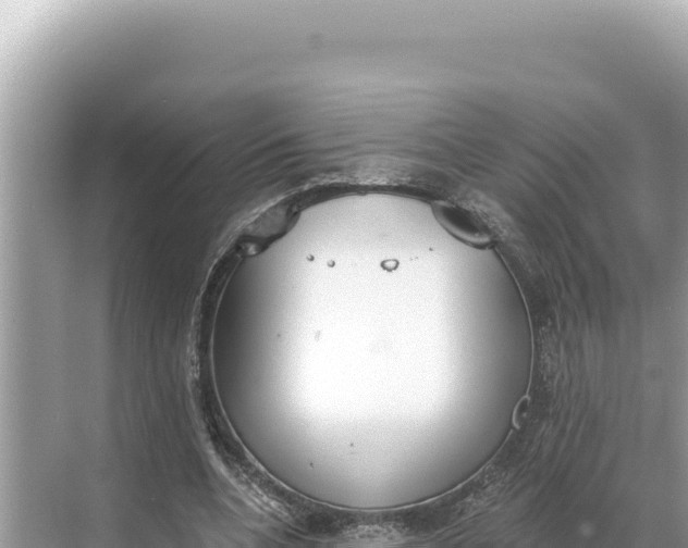 X0000068260536200605051751