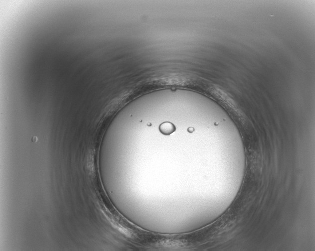 X0000068260537200605051751