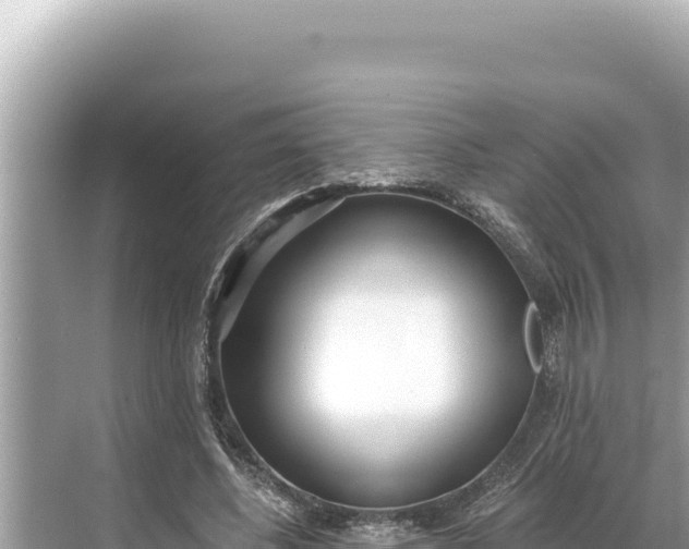 X0000068260540200605051751