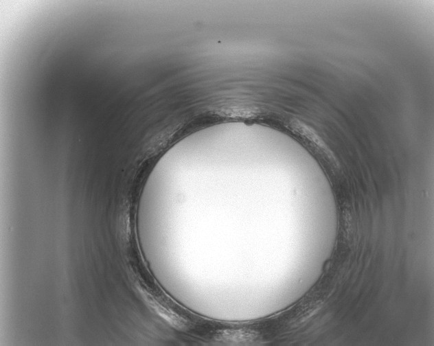 X0000068260541200605051752