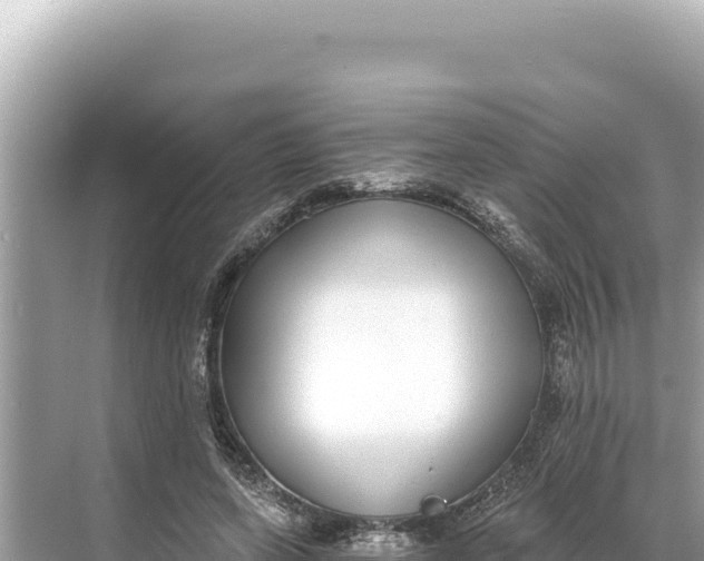 X0000068260543200605051752