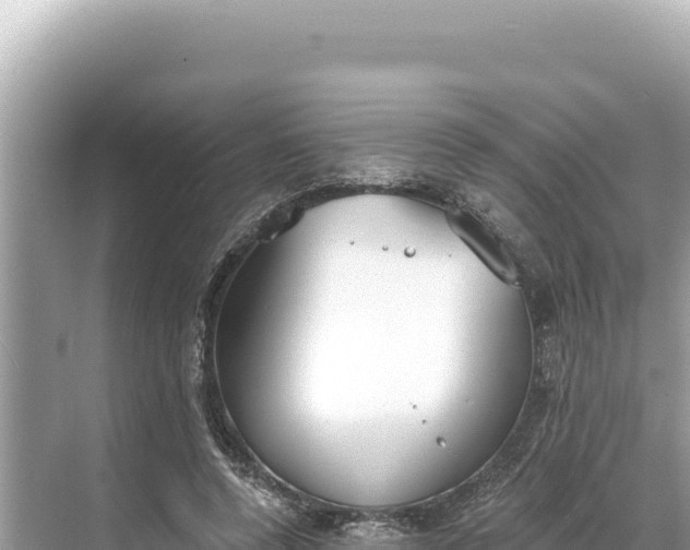 X0000068260544200605051752