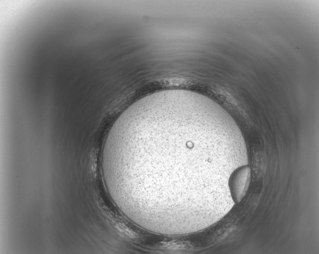 X0000068260545200605051752