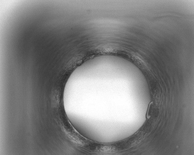 X0000068260546200605051752