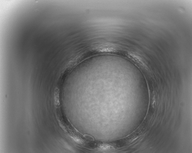 X0000068260547200605051752