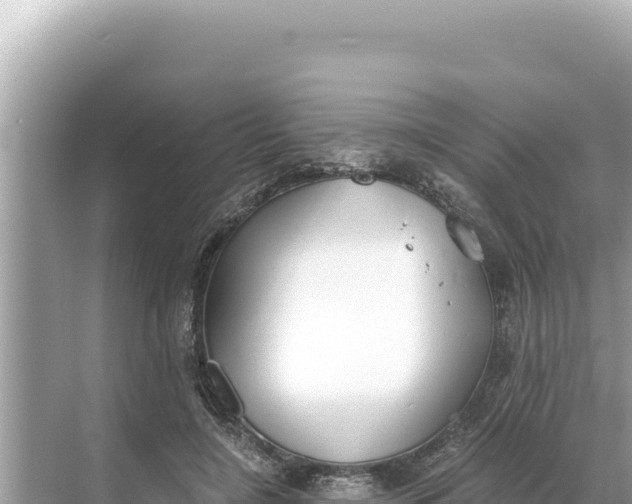 X0000068260548200605051752