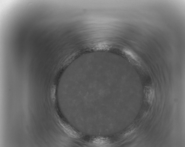 X0000068260550200605051752