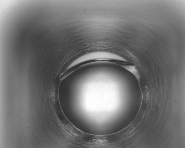 X0000068260552200605051752