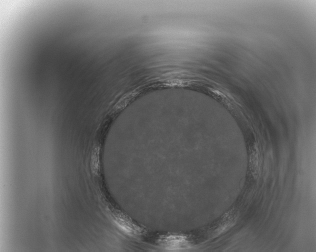 X0000068260554200605051752