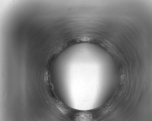 X0000068260555200605051752