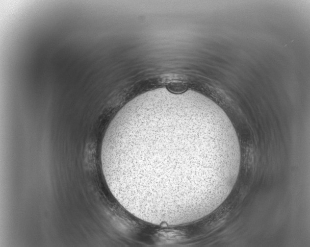 X0000068260557200605051752