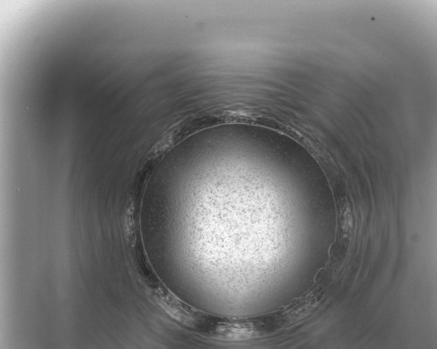 X0000068260559200605051752