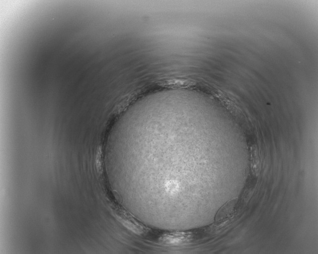 X0000068260563200605051752