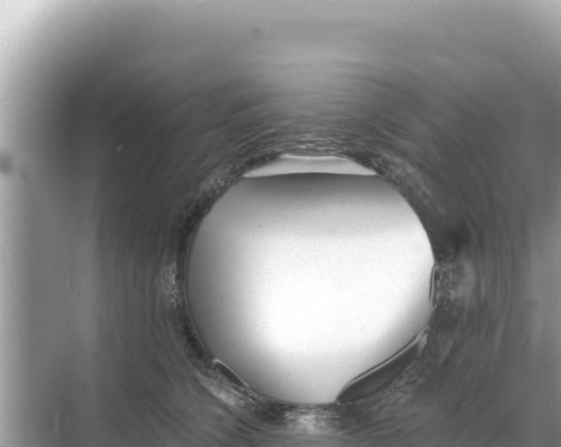 X0000068260564200605051752