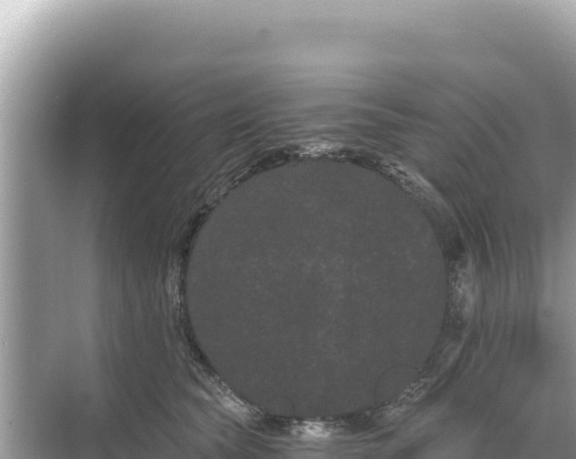 X0000068260565200605051752