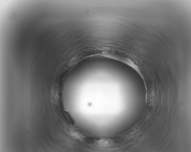 X0000068260566200605051752