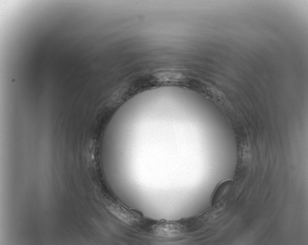 X0000068260567200605051752