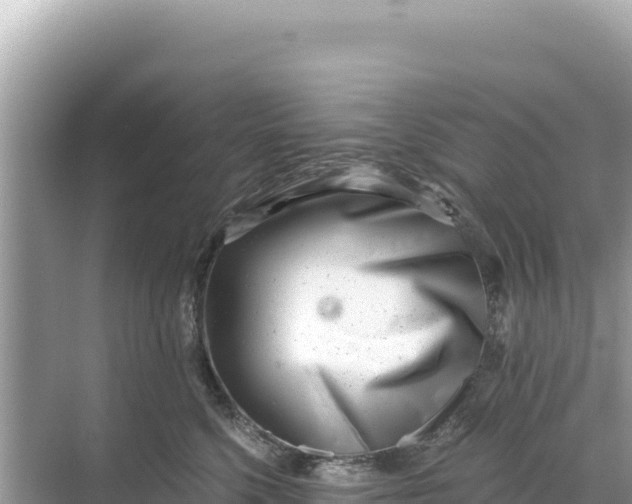 X0000068260568200605051752