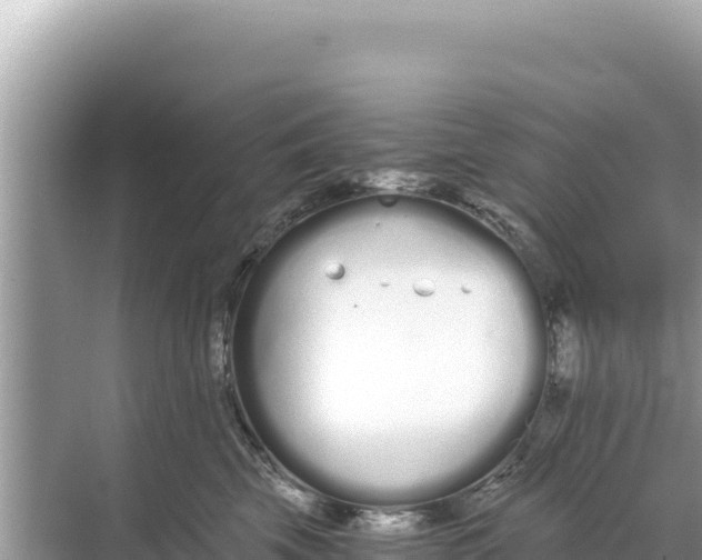 X0000068260569200605051752