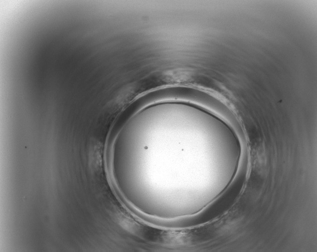 X0000068260570200605051752