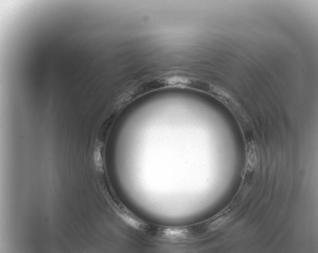 X0000068260573200605051752