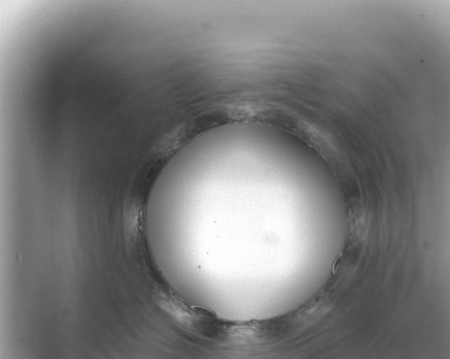 X0000068260574200605051752