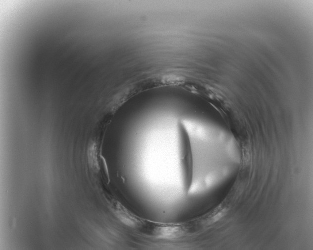 X0000068260575200605051752