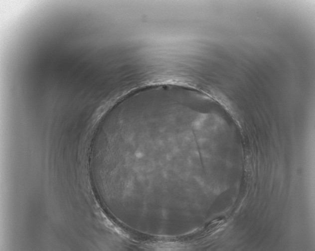 X0000068260577200605051751