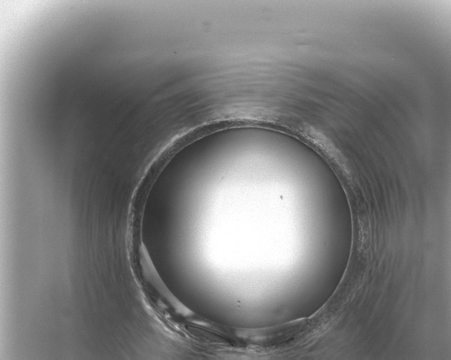 X0000068260580200605051751