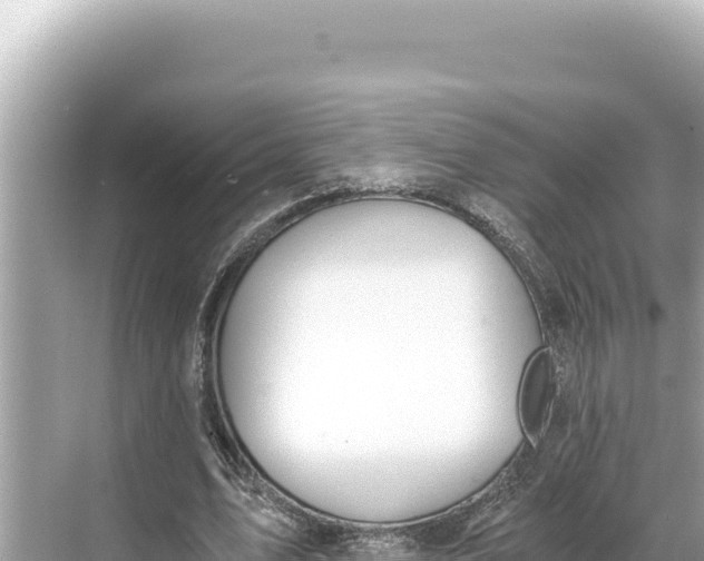 X0000068260583200605051751