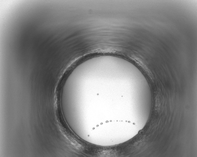 X0000068260584200605051751