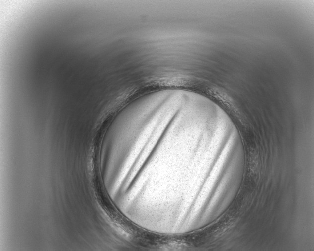 X0000068260586200605051751