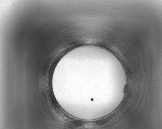 X0000068260587200605051751