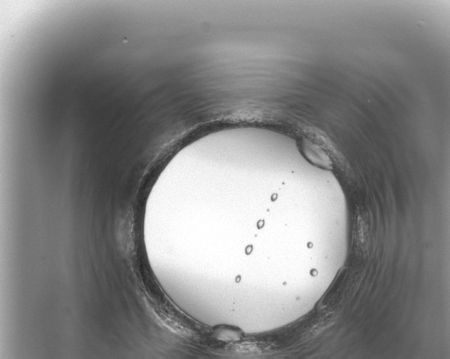 X0000068260588200605051751