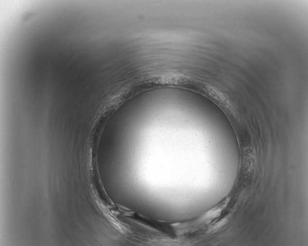 X0000068260589200605051751