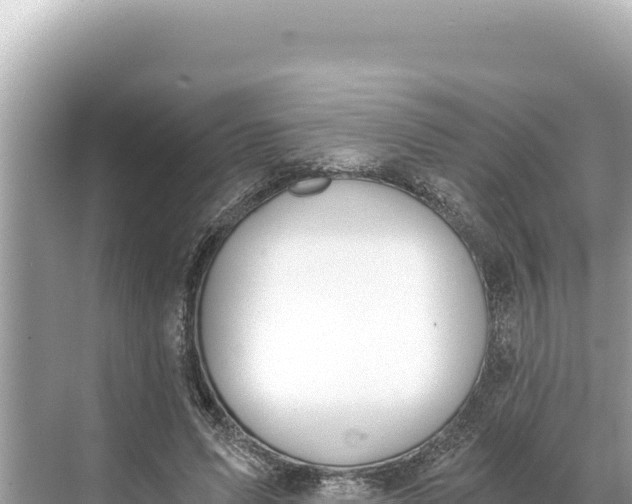 X0000068260591200605051751