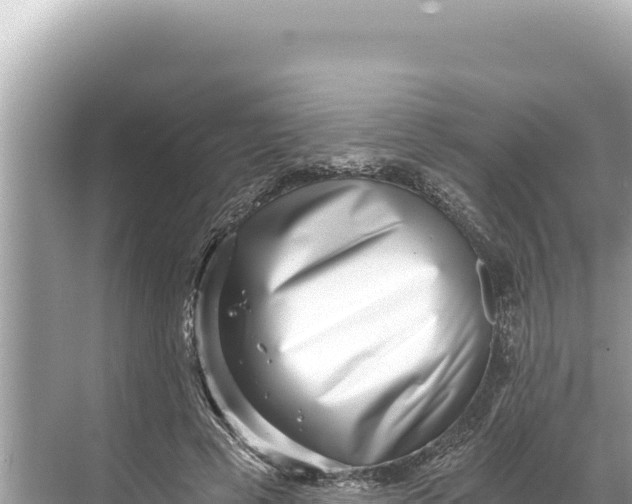 X0000068260593200605051751