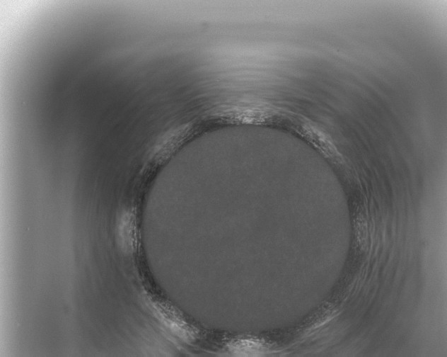 X0000068260594200605051751