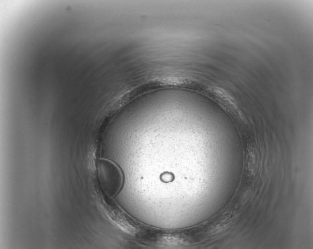 X0000068260596200605051751