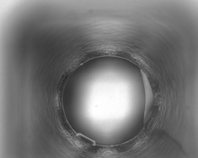 X0000068260597200605051751