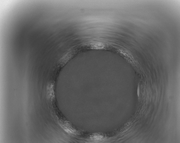 X0000068260598200605051751