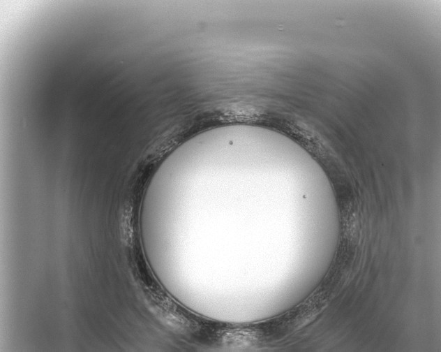 X0000068260599200605051751