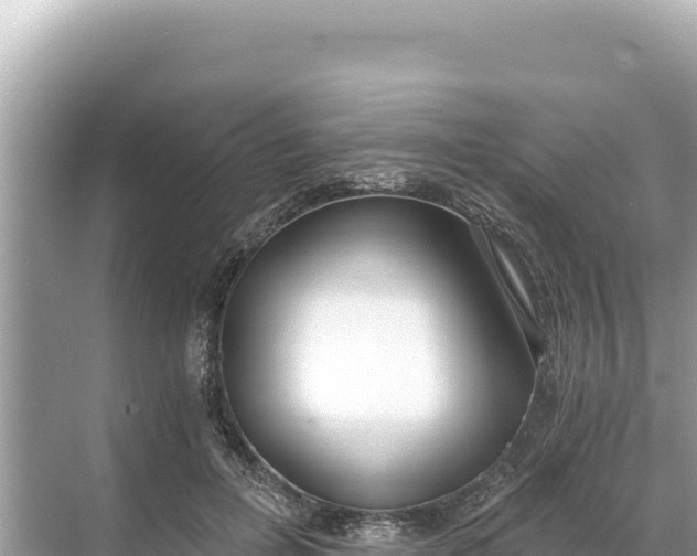 X0000068260600200605051751