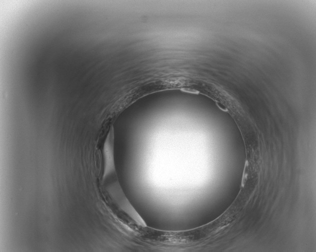 X0000068260601200605051751