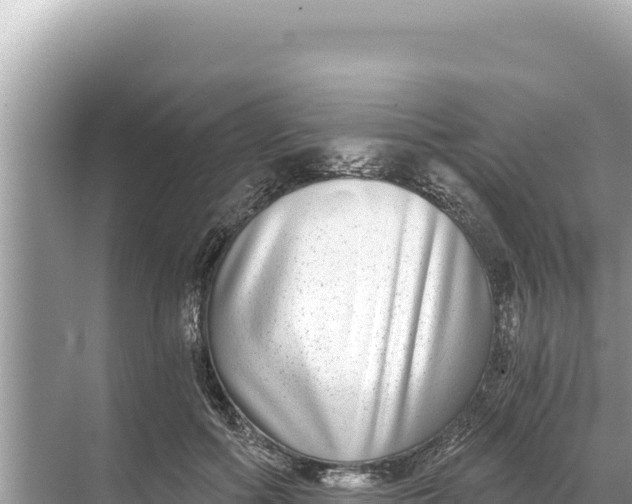 X0000068260602200605051751