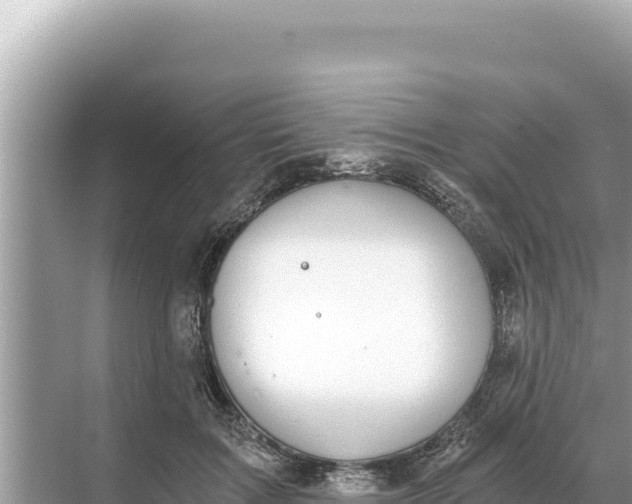 X0000068260603200605051751