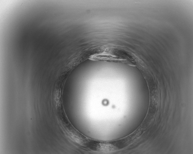 X0000068260605200605051751