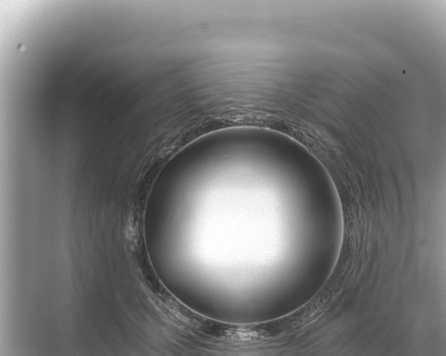 X0000068260607200605051751