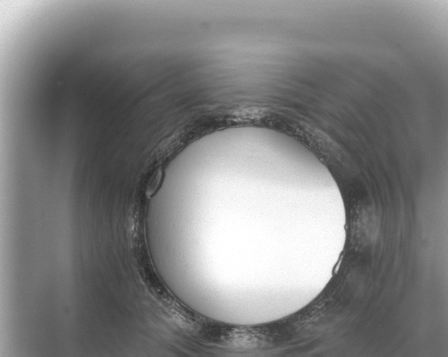 X0000068260608200605051751