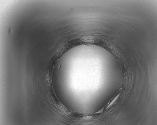 X0000068260609200605051751